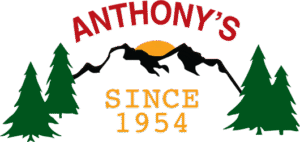 Anthony's Christmas Trees